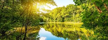 সুন্দরবনে আমরা: Unforgettable Moments তৈরির এক অসাধারণ ভ্রমণ